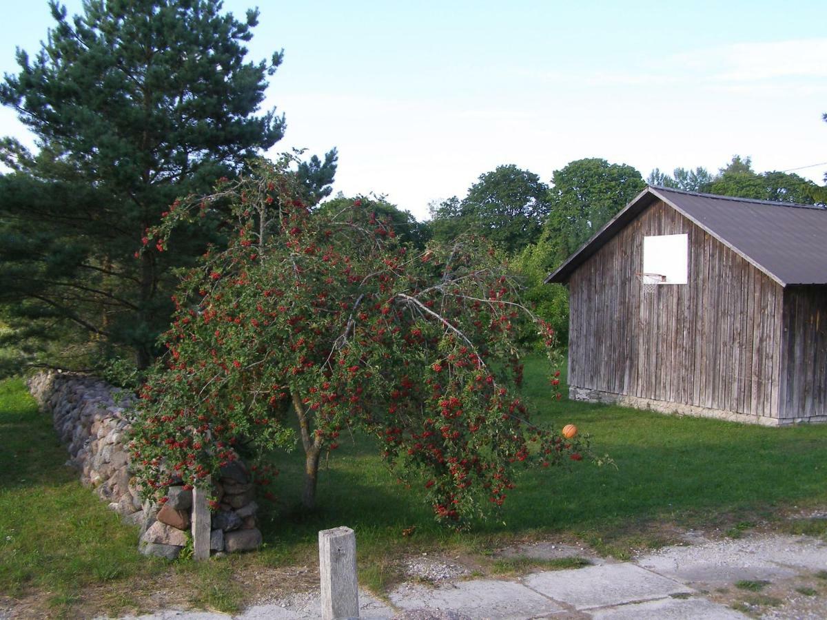 Kipi-Koovi Holiday Centre Exteriér fotografie