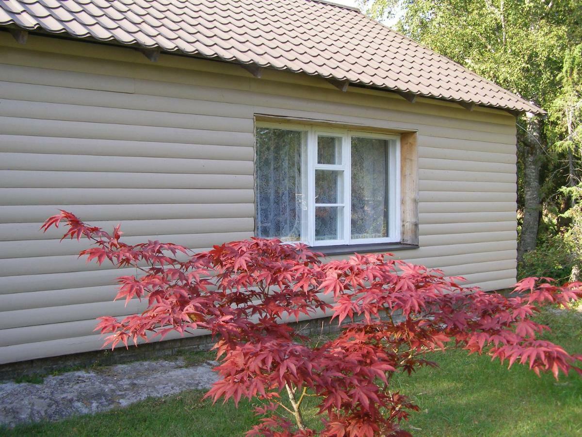 Kipi-Koovi Holiday Centre Exteriér fotografie